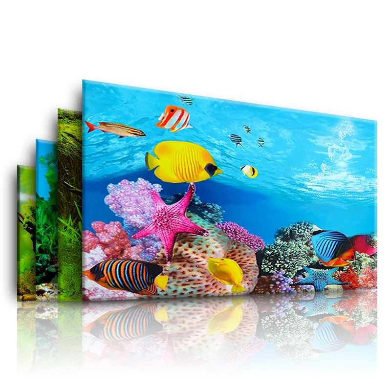 Aquarium Fish For Sale Online - Latar Belakang untuk Akuarium 3d Poster
