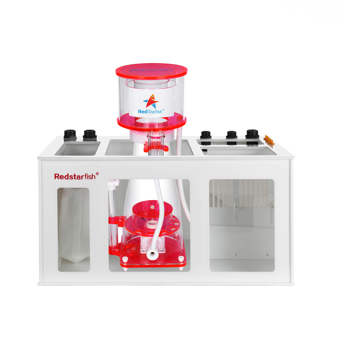 Aquarium Fish Logo - Filter Sump Akuarium Air Asin HOTRed