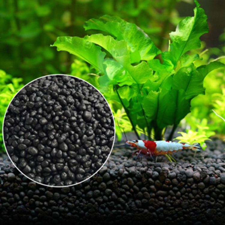 Aquarium Fish Background - Bibit Tanaman Akuarium Tanah Tangki Ikan