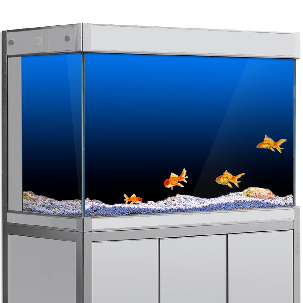 Aquarium Fish Background - Stiker Latar Belakang Tangki Ikan Hitam