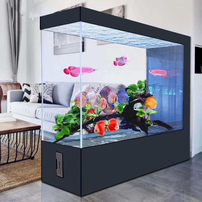 Aquarium Fish And Price - Akuarium Kaca Hitam Desain Terbaru Kustomisasi