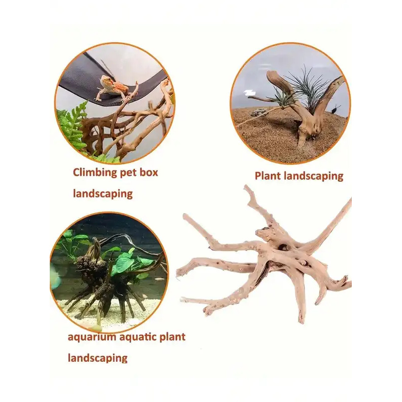 Kayu Apung Alami untuk Dekoras - Aquarium Fish For Sale Online ulasan dan harga