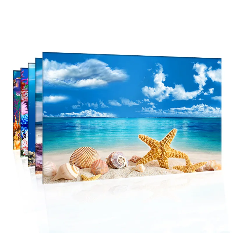 Latar Belakang untuk Akuarium  - Aquarium Fish For Sale Online ulasan dan harga