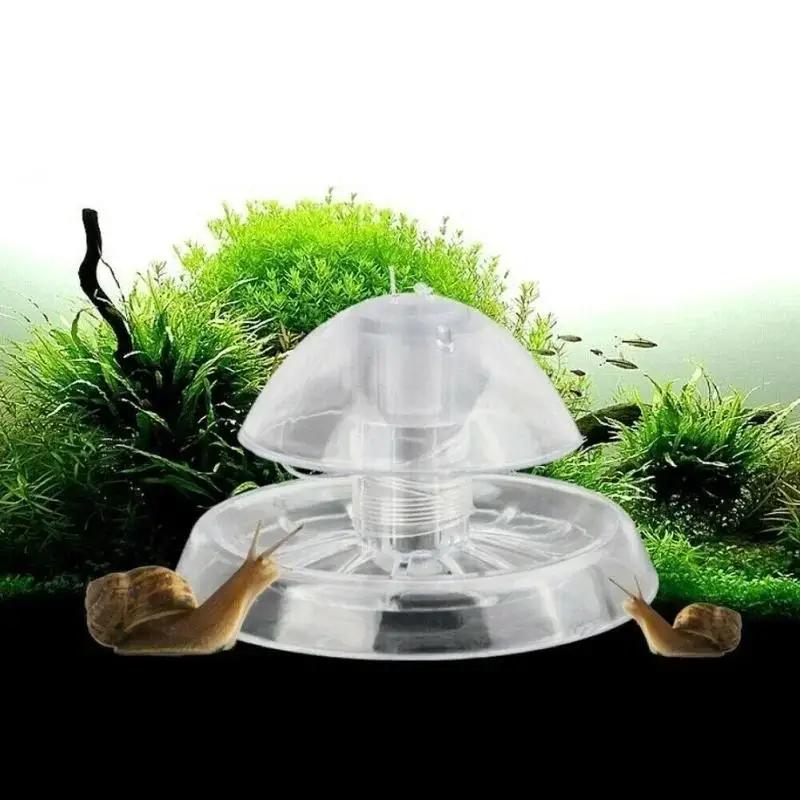2026 Perangkap Siput Plastik T - Cleaner Fish Aquarium ulasan dan harga
