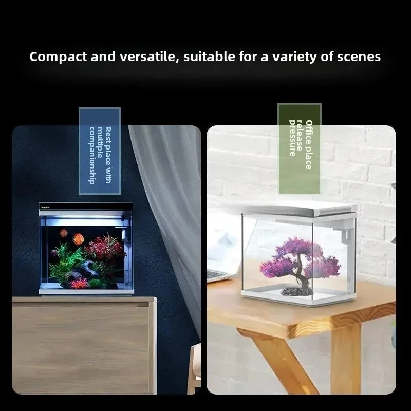 y9.4- akuarium ikan kecil dari - Aquarium Fish Without Oxygen ulasan dan harga