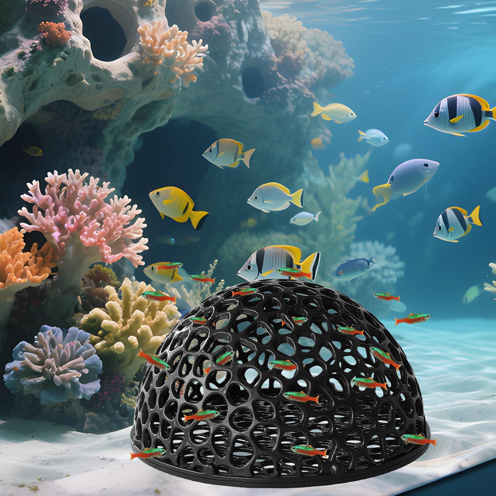 Tempat Persembunyian Tersembun - Aquarium Fish Hide ulasan dan harga