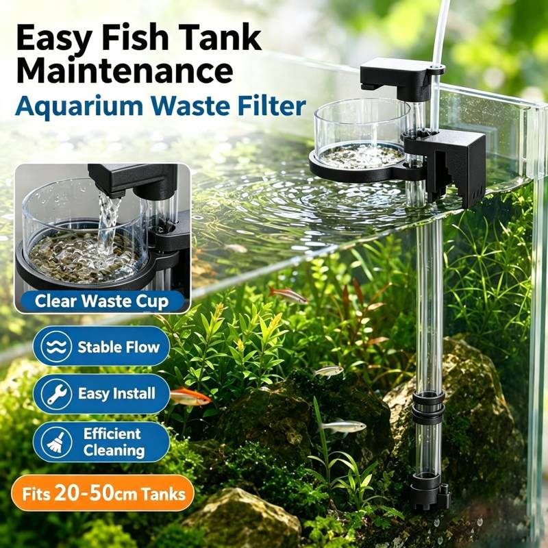 Penghisap Kotoran Ikan Akuariu - Cleaner Fish Aquarium ulasan dan harga