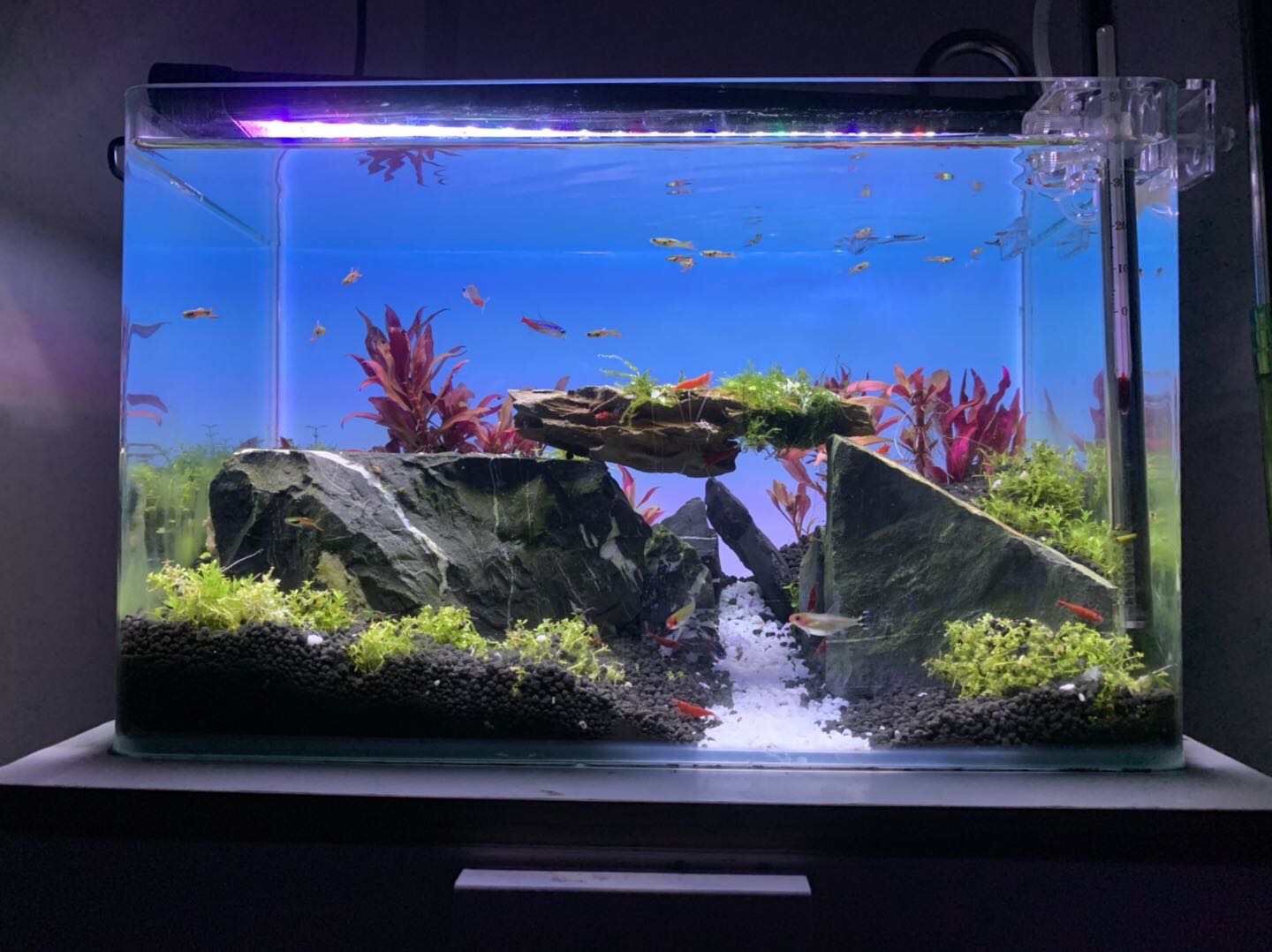 Lampu Akuarium Pengubah Warna  - Aquarium Fish Background ulasan dan harga