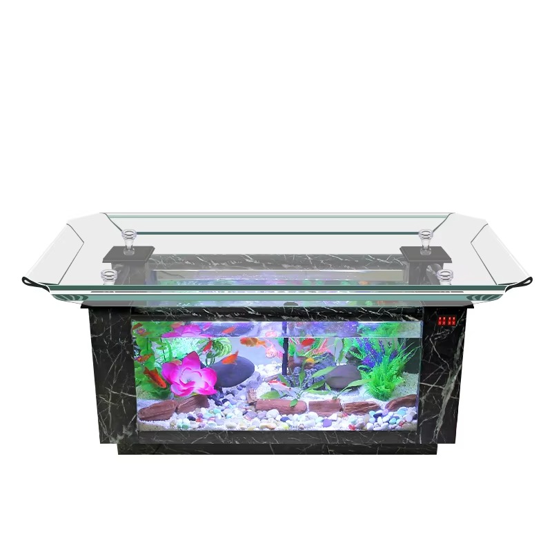 Harga Akuarium Ikan Laut 2026  - Aquarium Fish And Price ulasan dan harga