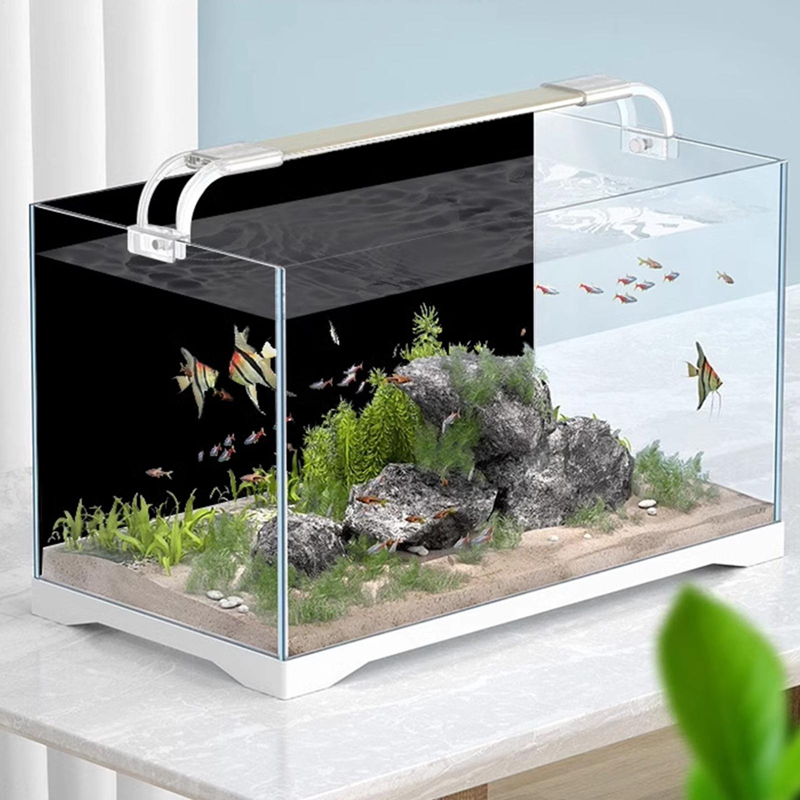 Stiker Latar Belakang Akuarium - Aquarium Fish Background ulasan dan harga