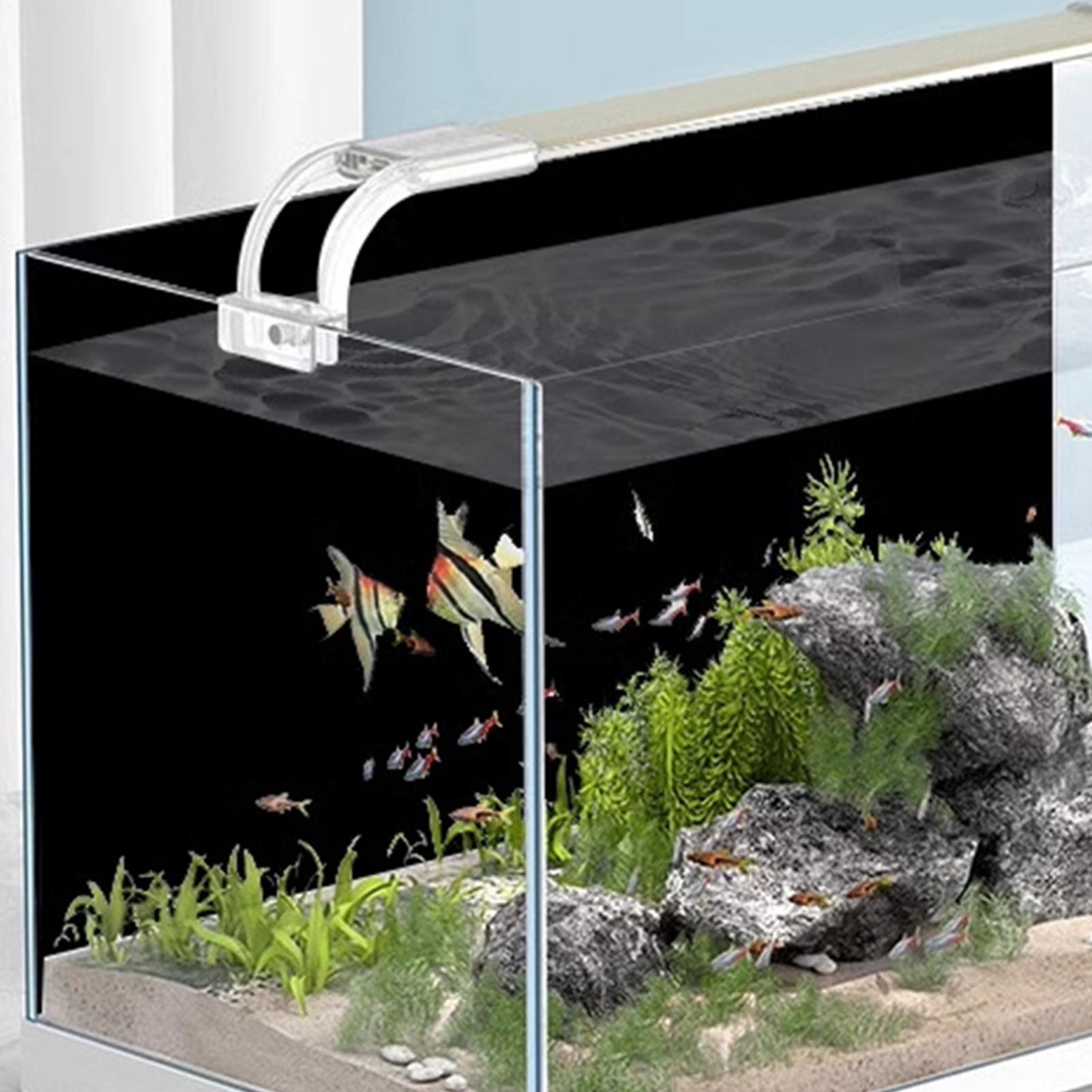 Stiker Latar Belakang Akuarium - Aquarium Fish Background ulasan dan harga