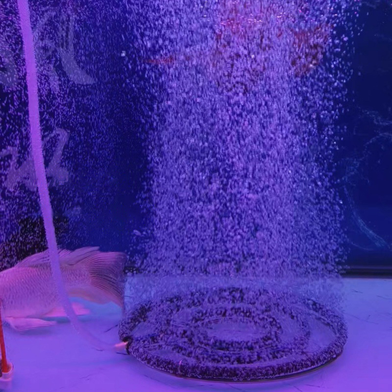 Disk Aerasi Oksigen Nano Baja  - Aquarium Fish Koi ulasan dan harga