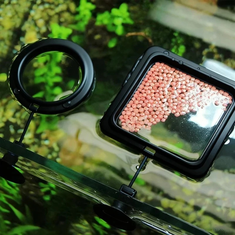 1/3 buah Cincin Pemberi Makan  - Aquarium Fish Medicine ulasan dan harga