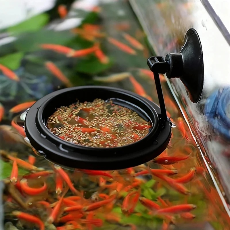 1/3 buah Cincin Pemberi Makan  - Aquarium Fish Medicine ulasan dan harga