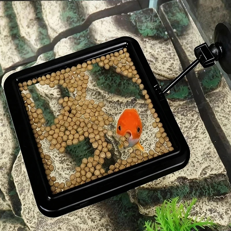 1/3 buah Cincin Pemberi Makan  - Aquarium Fish Medicine ulasan dan harga