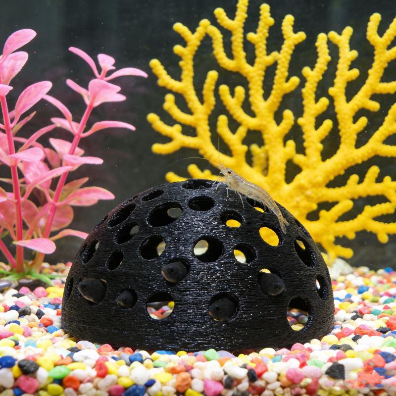Akuarium Gua Tersembunyi untuk - Aquarium Fish Hide ulasan dan harga