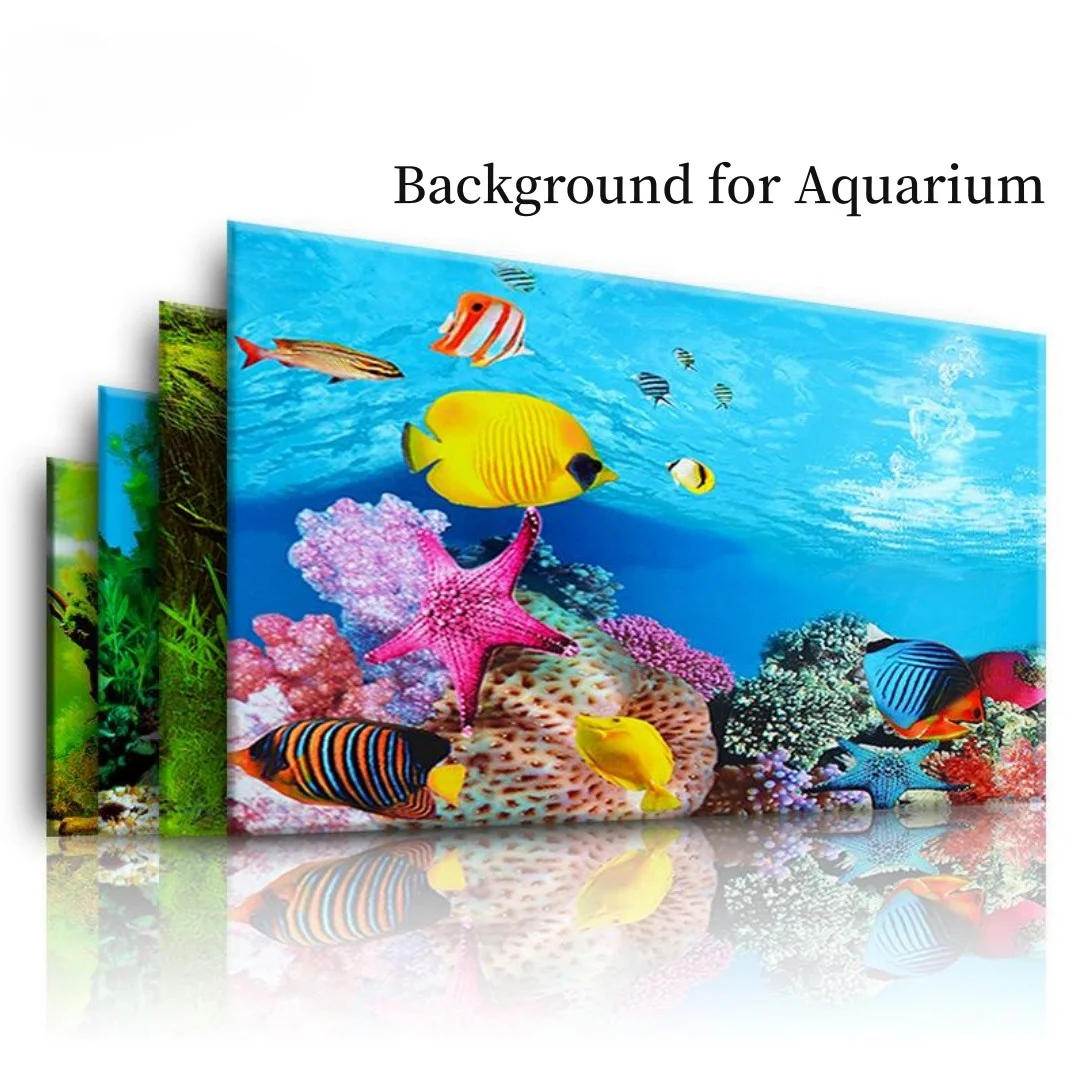 Latar belakang akuarium 3D sti - Aquarium Fish For Sale Online ulasan dan harga