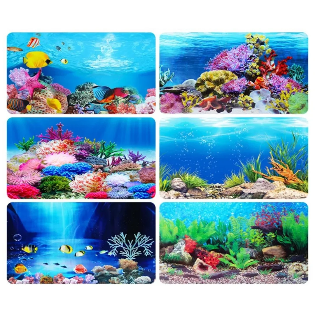 Latar belakang akuarium 3D sti - Aquarium Fish For Sale Online ulasan dan harga