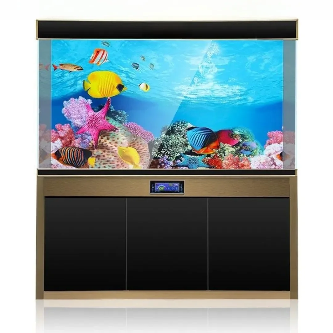 Latar belakang akuarium 3D sti - Aquarium Fish For Sale Online ulasan dan harga
