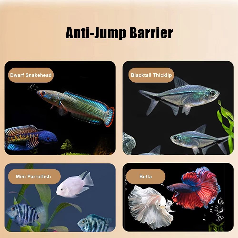 Penutup Tangki Ikan Magnetik T - Aquarium Fish Jumping ulasan dan harga