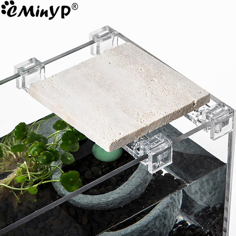 4 buah klip akrilik tangki ika - Aquarium Fish Background ulasan dan harga