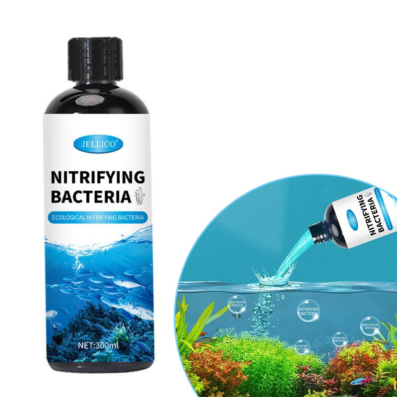 Bakteri Nitrifikasi Tangki Ika - Aquarium Fish Medicine ulasan dan harga