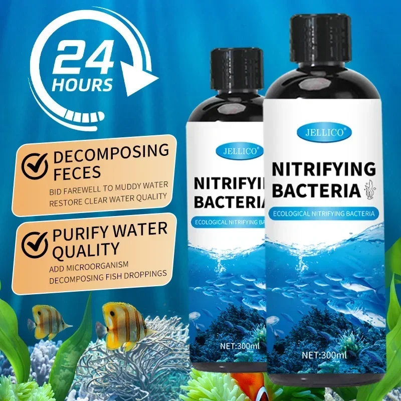 Bakteri Nitrifikasi Tangki Ika - Aquarium Fish Medicine ulasan dan harga
