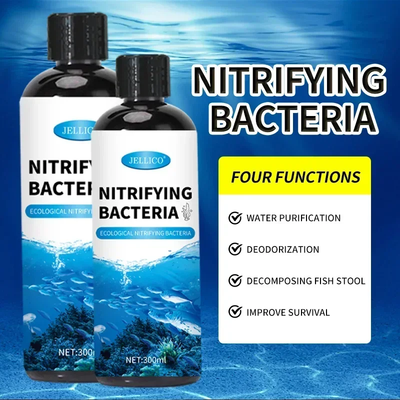 Bakteri Nitrifikasi Tangki Ika - Aquarium Fish Medicine ulasan dan harga