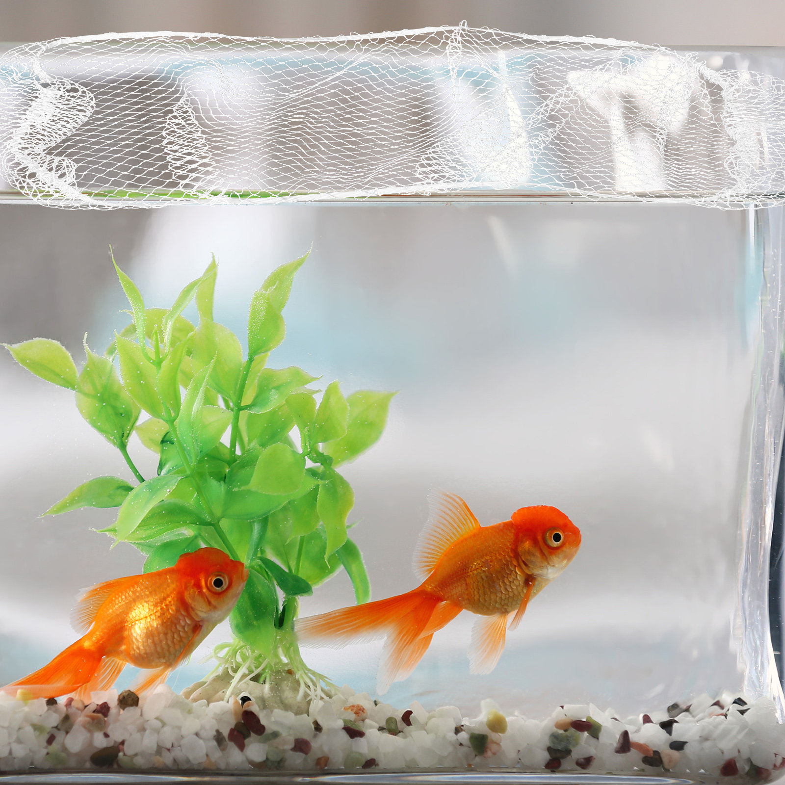 Penutup Akuarium dari Bahan Ni - Aquarium Fish Jumping ulasan dan harga