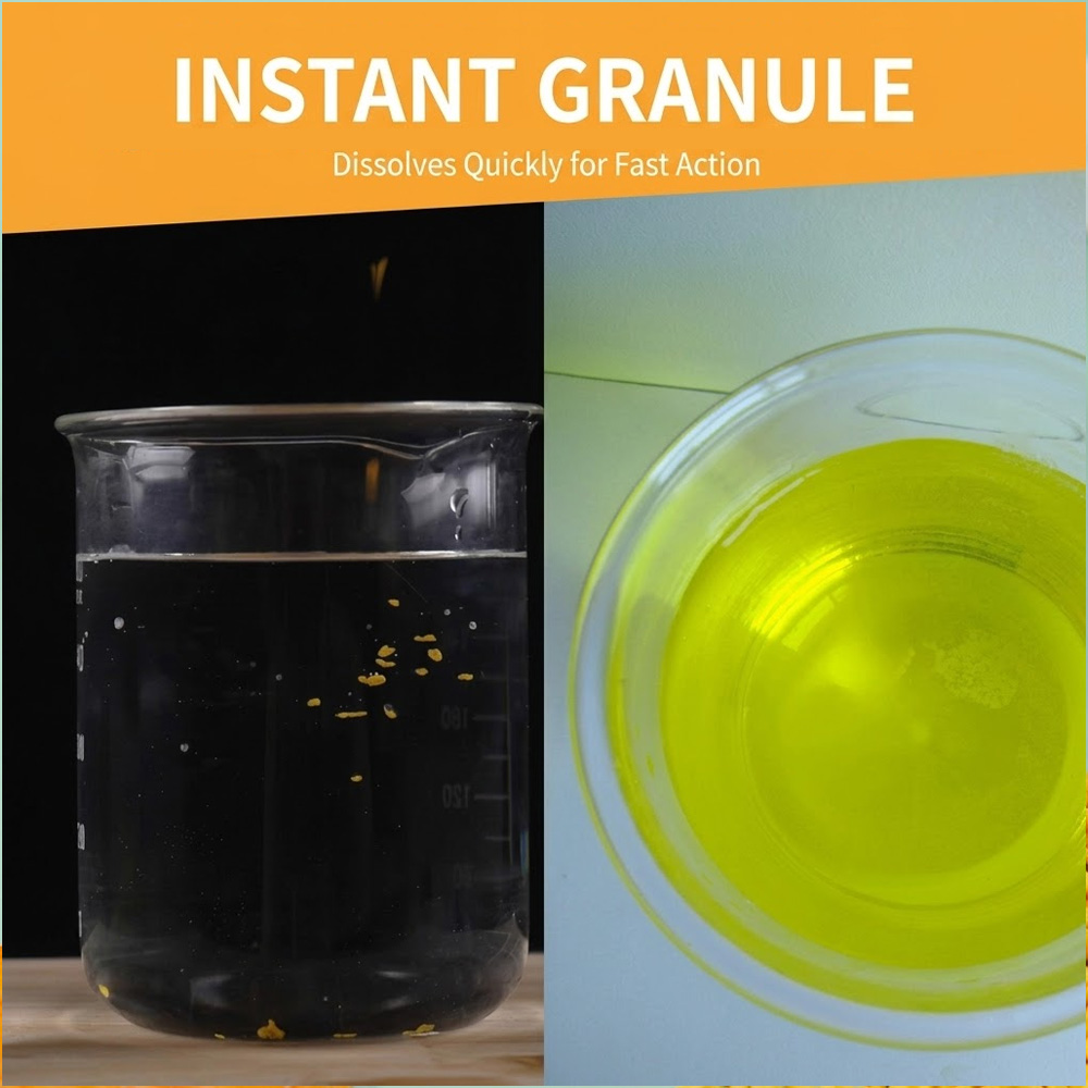 Bubuk Kuning Akuatik yang Laru - Aquarium Fish Medicine ulasan dan harga