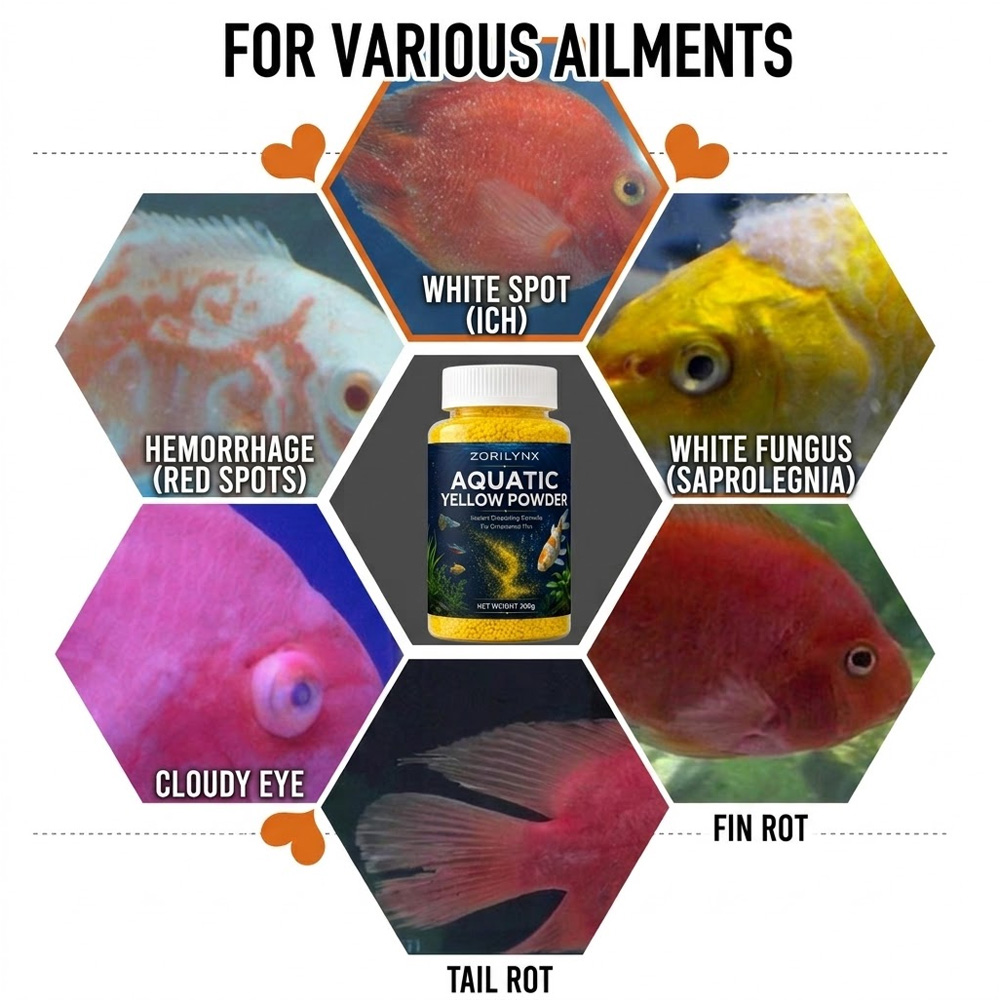 Bubuk Kuning Akuatik yang Laru - Aquarium Fish Medicine ulasan dan harga