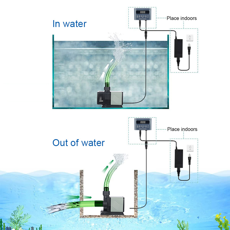 Harga Grosir Langsung Pabrik P - Aquarium Fish And Price ulasan dan harga