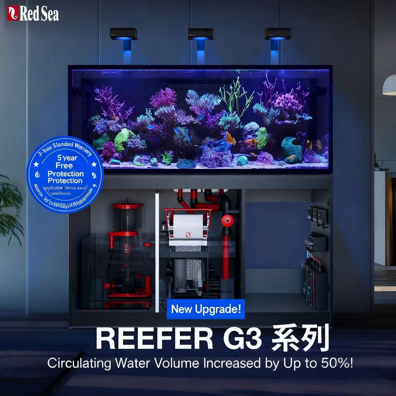 2026 Harga Grosir Terlaris Aku - Aquarium Fish And Price ulasan dan harga