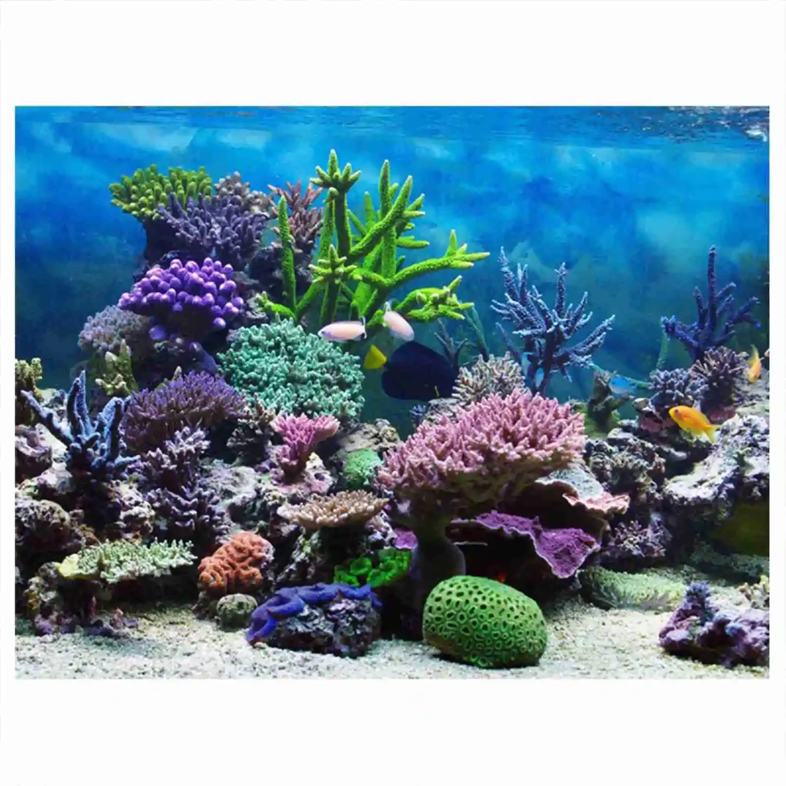 3D akuarium Poster pemandangan - Aquarium Fish Background ulasan dan harga
