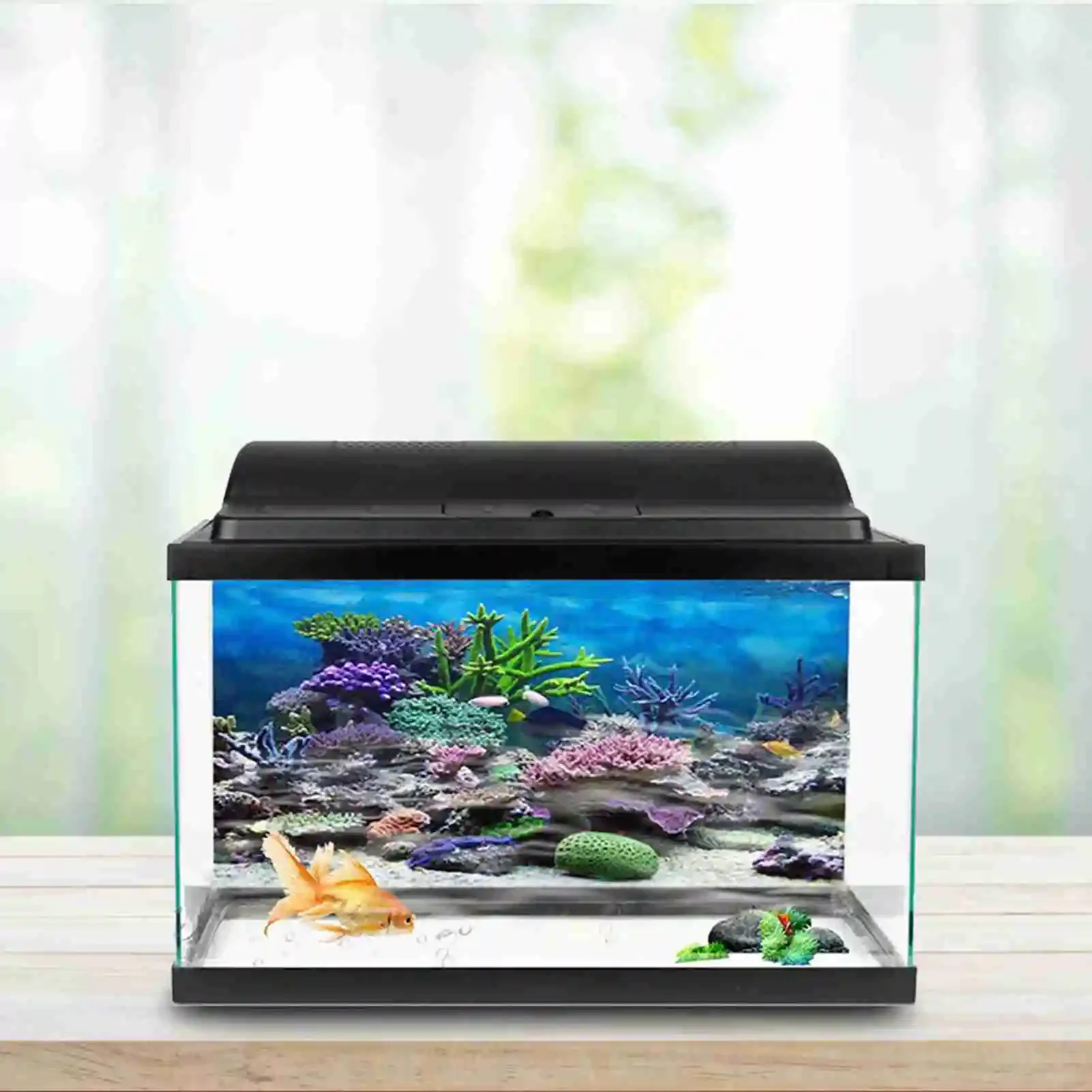 3D akuarium Poster pemandangan - Aquarium Fish Background ulasan dan harga