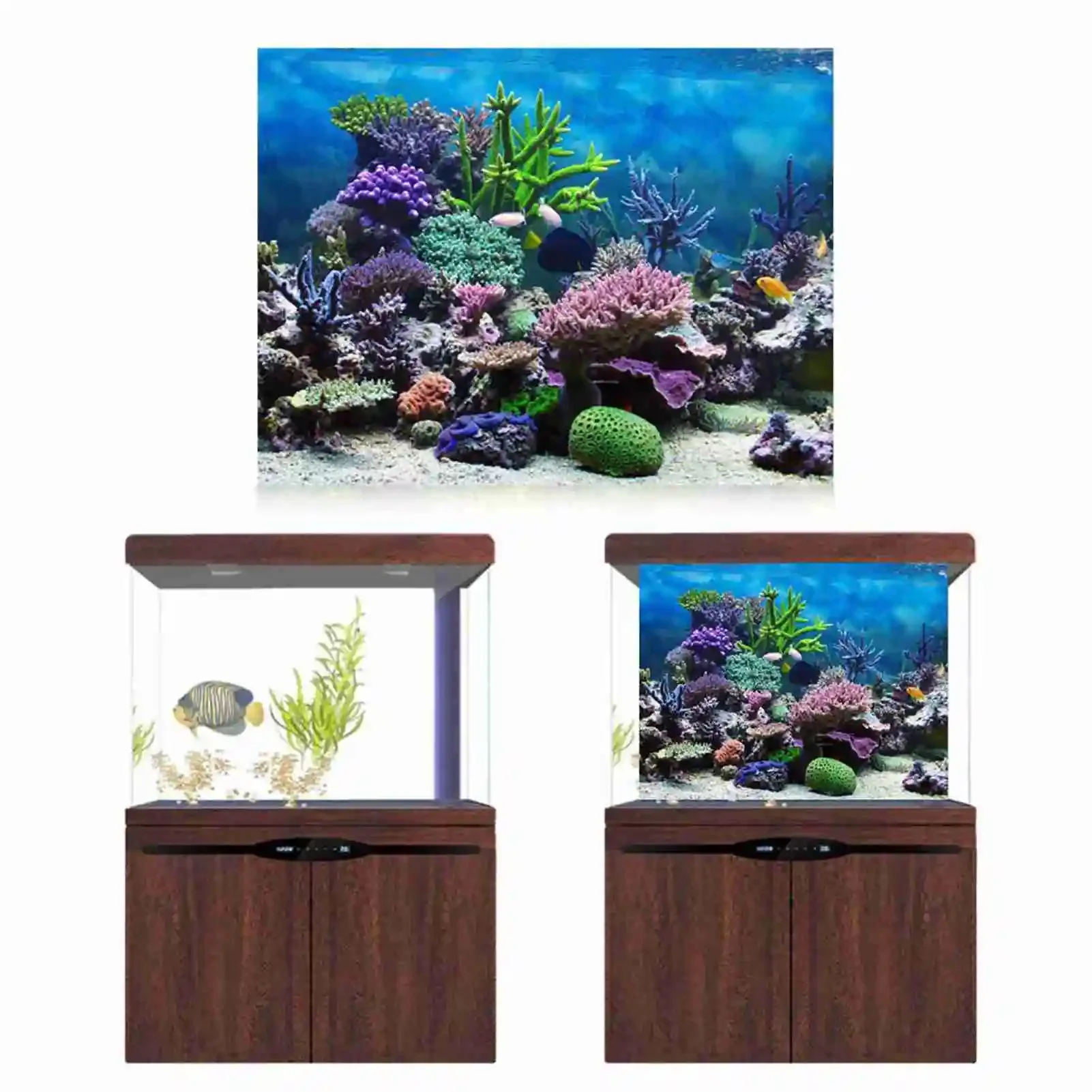 3D akuarium Poster pemandangan - Aquarium Fish Background ulasan dan harga