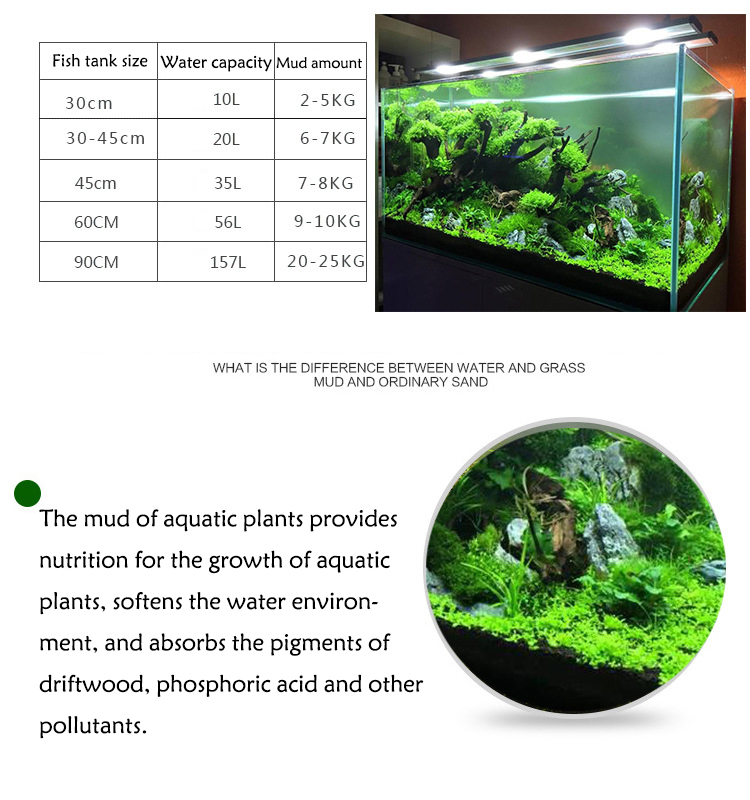 Bibit Tanaman Akuarium Tanah T - Aquarium Fish Background ulasan dan harga