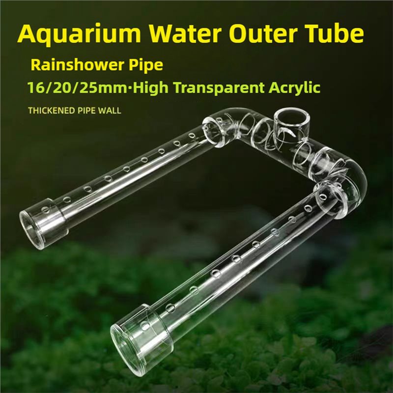 【HARGA-TURUN!】Pipa Outlet Panc - Aquarium Fish And Price ulasan dan harga