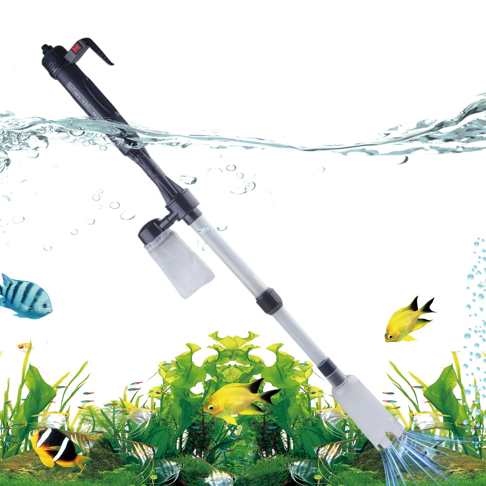 Pembersih Kerikil Akuarium Ele - Cleaner Fish Aquarium ulasan dan harga