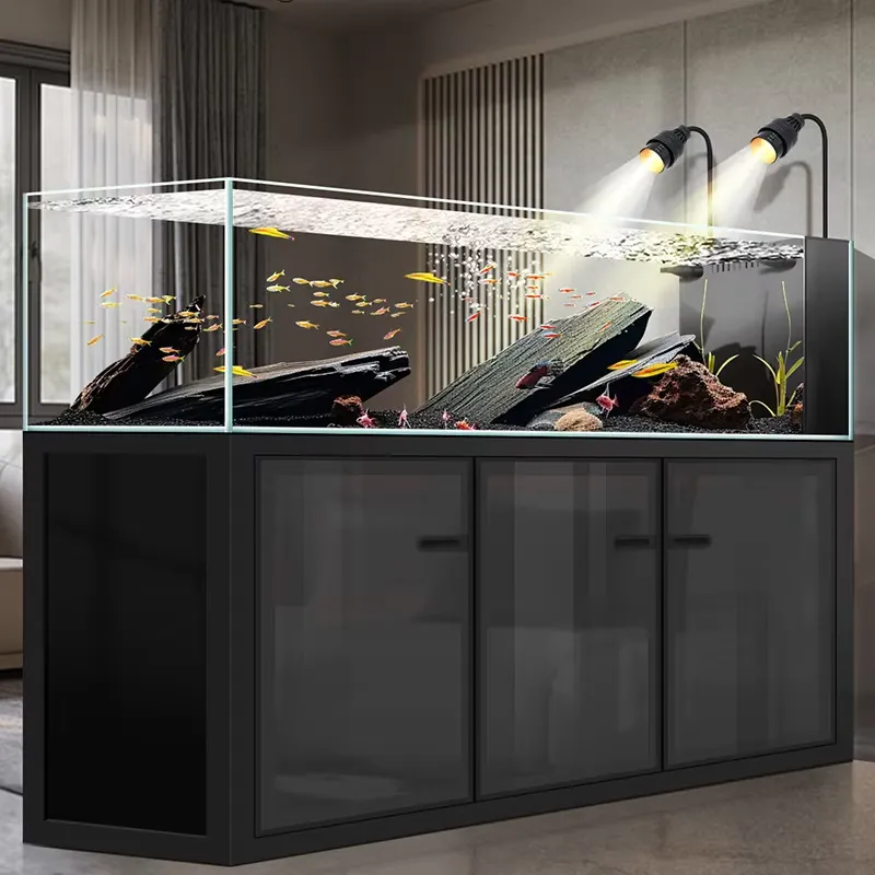 Harga Pabrik Akuarium Ikan Kac - Aquarium Fish And Price ulasan dan harga