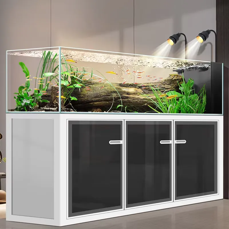 Harga Pabrik Akuarium Ikan Kac - Aquarium Fish And Price ulasan dan harga