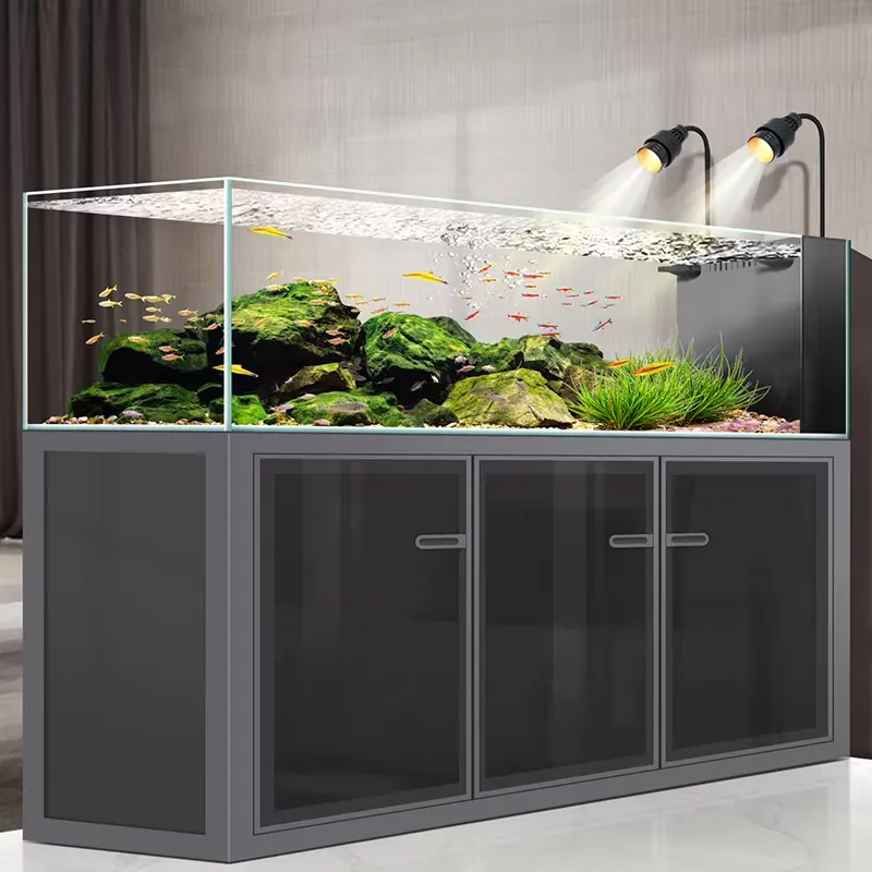 Harga Pabrik Akuarium Ikan Kac - Aquarium Fish And Price ulasan dan harga