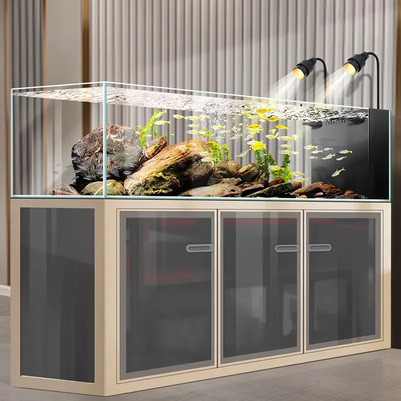 Harga Pabrik Akuarium Ikan Kac - Aquarium Fish And Price ulasan dan harga