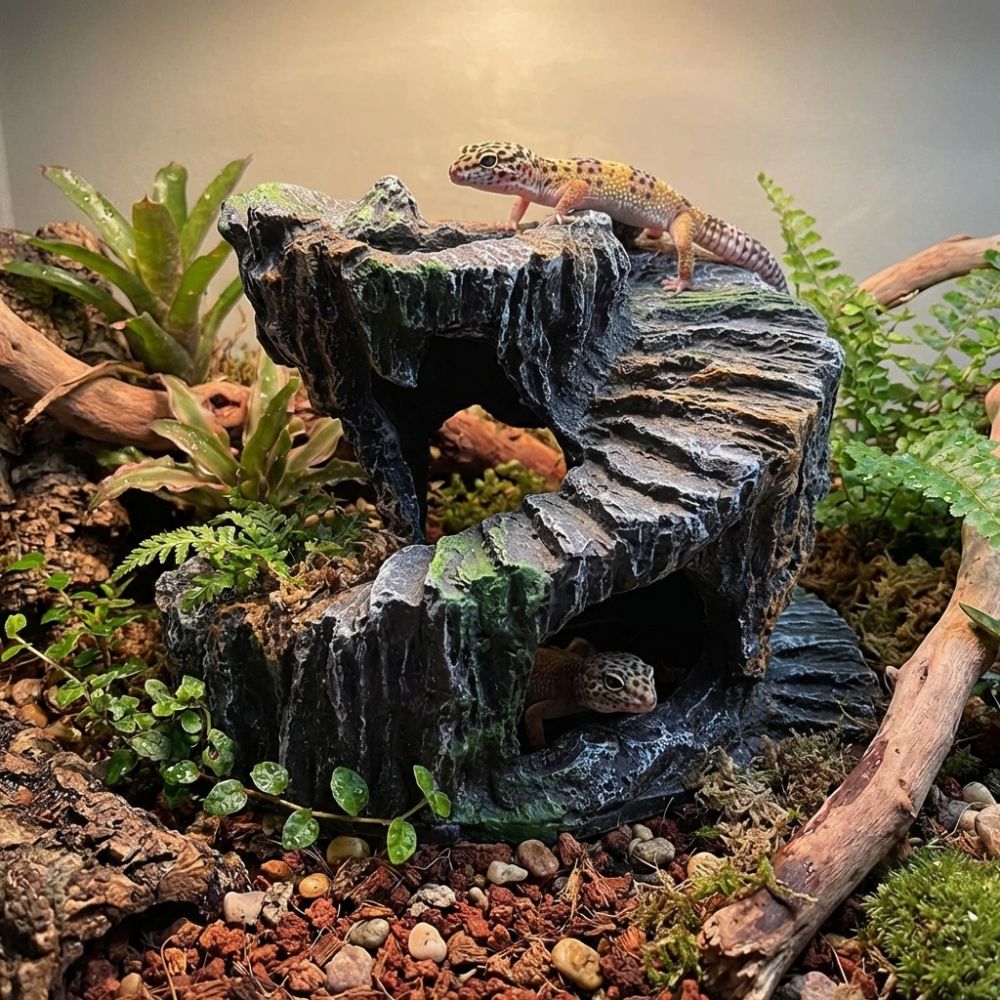 Platform Berjemur Kura-Kura da - Aquarium Fish Cave ulasan dan harga