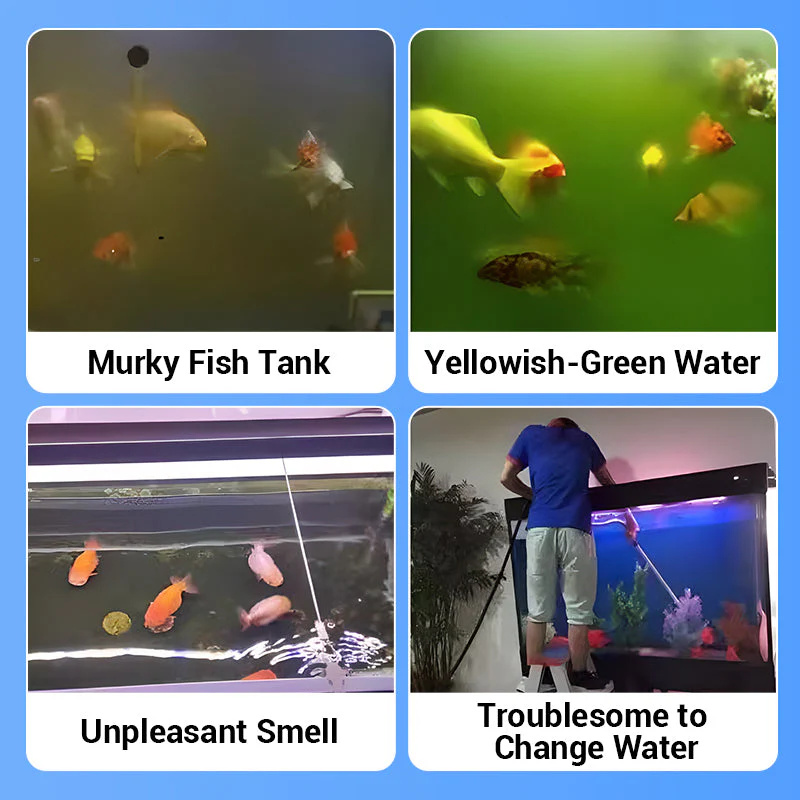 Tablet Pemurni Air Akuarium Ra - Aquarium Fish Medicine ulasan dan harga