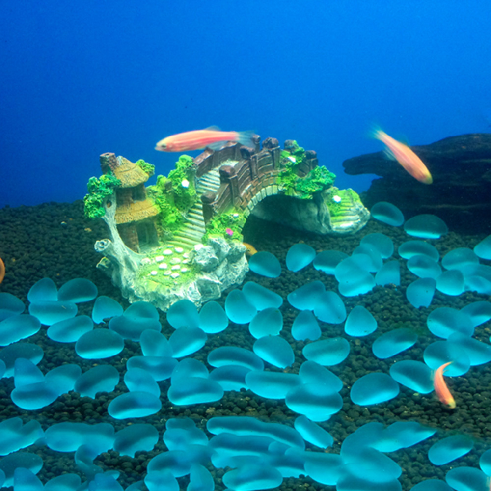 Aksesori akuarium pohon Arbor  - Aquarium Fish For Sale Online ulasan dan harga