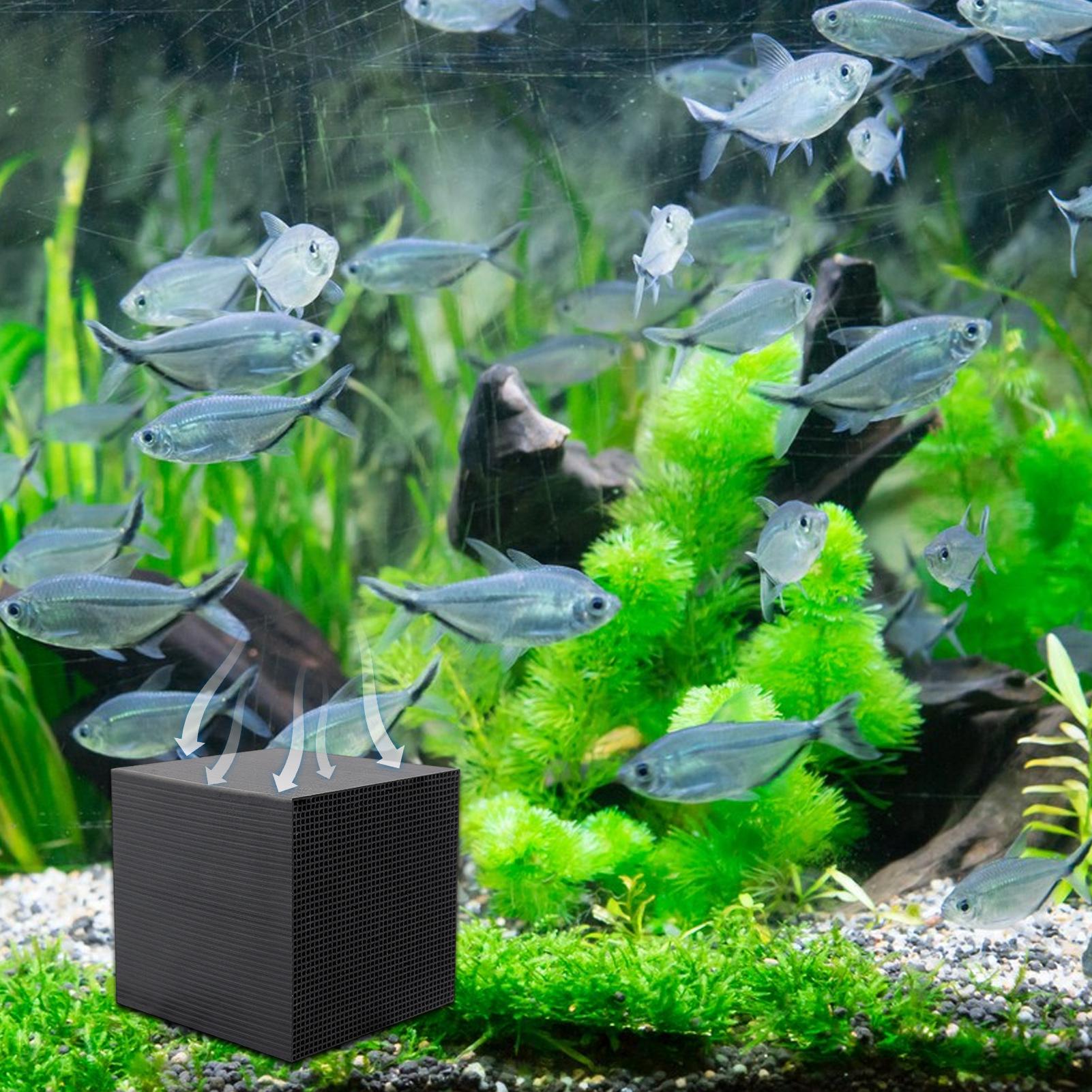 Kubus Pemurni Air Akuarium, Pe - Aquarium Fish Cave ulasan dan harga