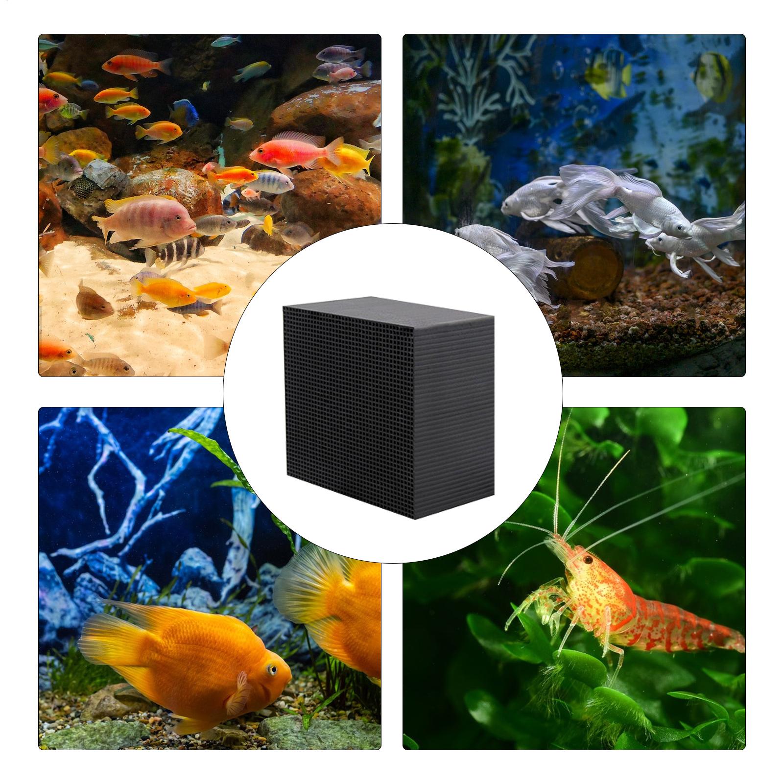 Kubus Pemurni Air Akuarium, Pe - Aquarium Fish Cave ulasan dan harga
