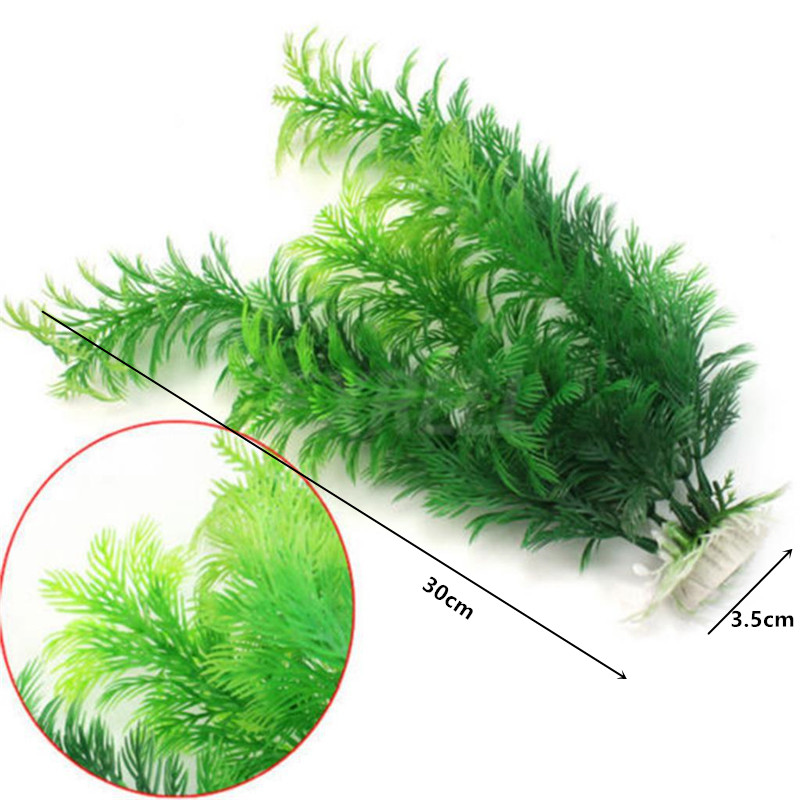 14cm - 30cm Tanaman Akuarium P - Aquarium Fish For Sale Online ulasan dan harga