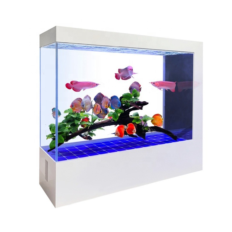 Akuarium Kaca Hitam Desain Ter - Aquarium Fish And Price ulasan dan harga